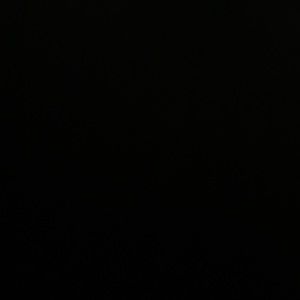 Meet your Posher, Laurie